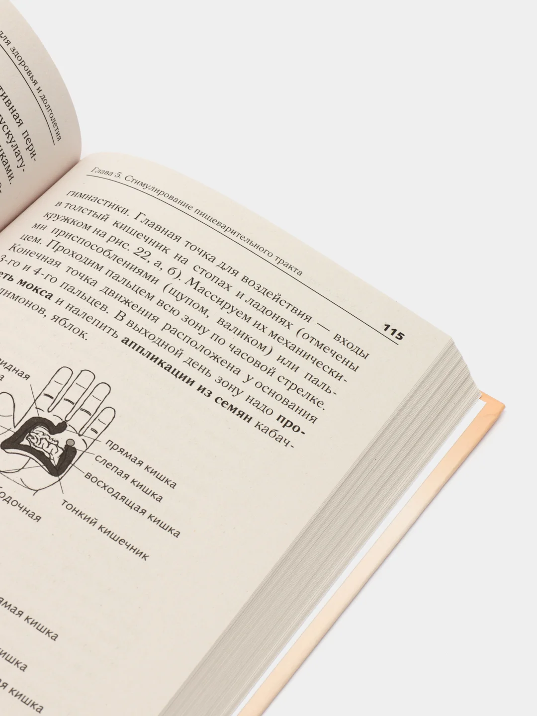 Большая книга Су-джок. Атлас целительных точек для здоровья и долголетия, Минь Лао