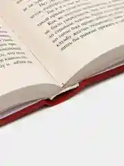 Жизнь взаймы, или У неба любимчиков нет, Ремарк Э.М.