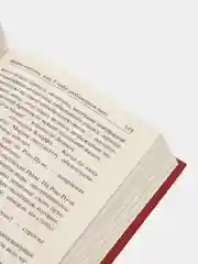 Жизнь взаймы, или У неба любимчиков нет, Ремарк Э.М.