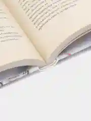 Поллианна, Элинор Портер