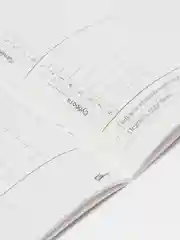 Красный дневник школьный для 1-11 классов, в мягкой обложке, 48 листов