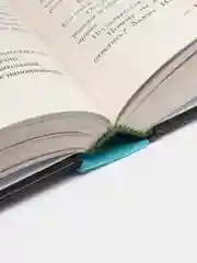Мутный, Стеффи Л.