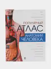 Популярный атлас анатомии человека, Палычева Любовь