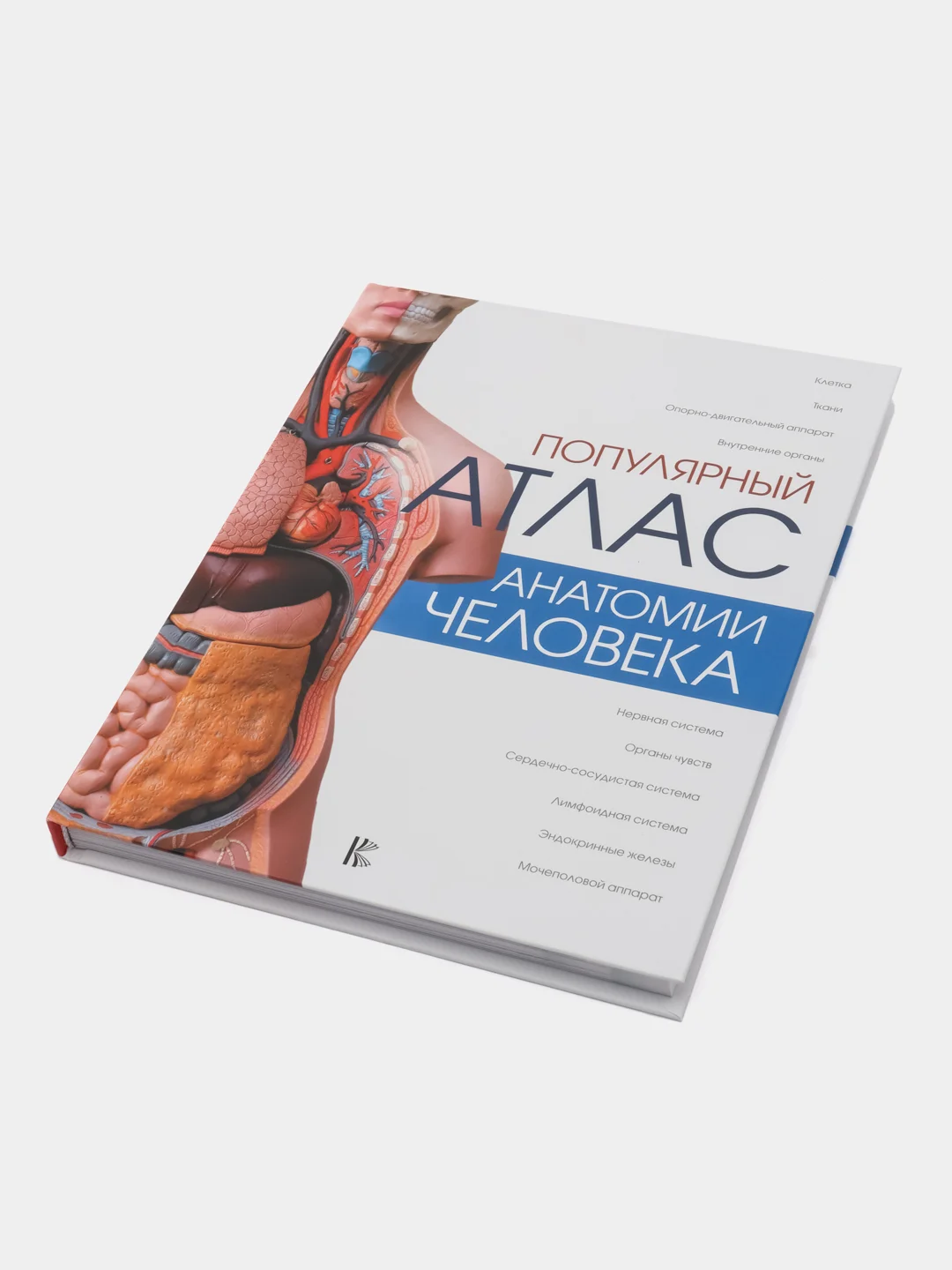 Популярный атлас анатомии человека, Палычева Любовь