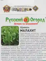Семена Щавель Малахит