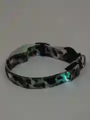 Серый ошейник LED для собак и кошек светящийся, на батарейках