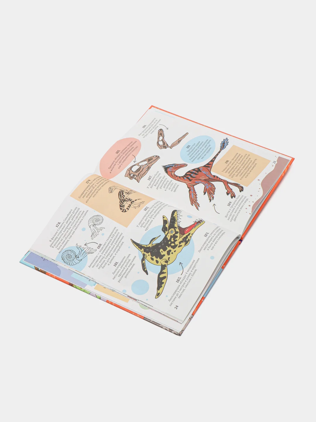 Книга детская энциклопедия. 365 фактов о динозаврах, 48 стр. Проф-Пресс