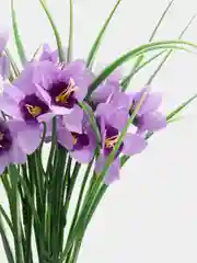 Фиолетовый цветы искусственные