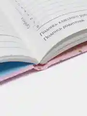 Конфетный дневник школьный для 1-11 классов, твёрдая обложка