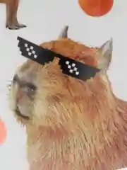 Оранжевый кружка Капибара