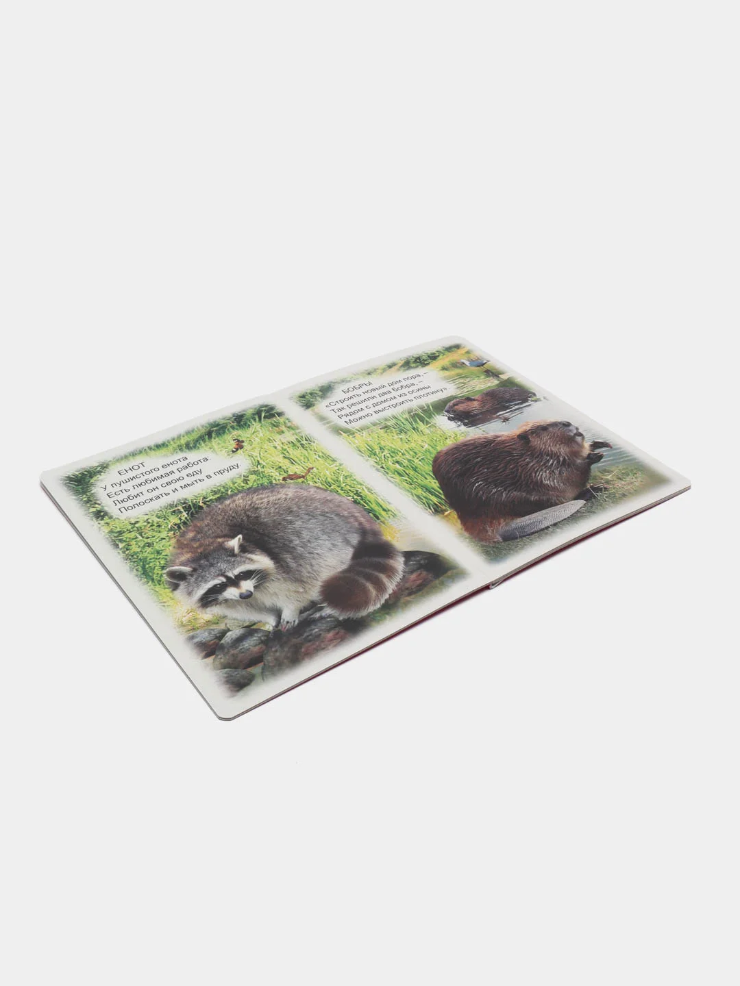 Алый книги на картоне для самых маленьких, 15*21,5 см, 8 стр