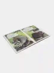 Алый книги на картоне для самых маленьких, 15*21,5 см, 8 стр