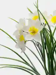 Белый цветы искусственные
