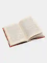 Книга "Злая ласка звездной руки", Сергей Синякин, фантастика, приключенческая литература