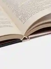 Книга "Злая ласка звездной руки", Сергей Синякин, фантастика, приключенческая литература