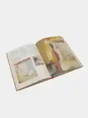 Книга "Оформление спальни. Руководство по шитью. Идеи и практики", самоучитель