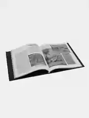 Книга Ведьмы и колдовство, эзотерическая энциклопедия