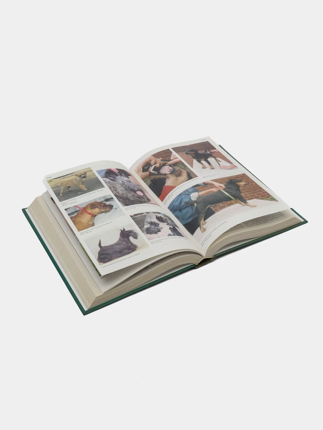 Книга "Норные собаки", Муромцева Мария Алексеевна, энциклопедия