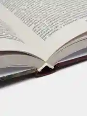 Книга Коммандос. Выдающиеся операции спецподразделений. Военная история