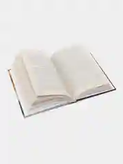 Книга Сражения Великой войны 1914-1918 гг на землях Беларуси. Военная история