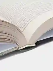 Книга Сражения Великой войны 1914-1918 гг на землях Беларуси. Военная история