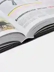 Книга Стрелковое оружие мира. Полная энциклопедия