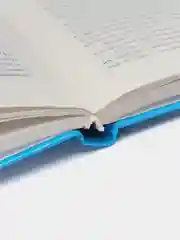 Книга Путь воина-славянина (синяя обложка). Боевые искусства, военная подготовка