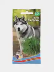 Семена Трава для собак