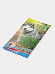 Семена Трава для собак
