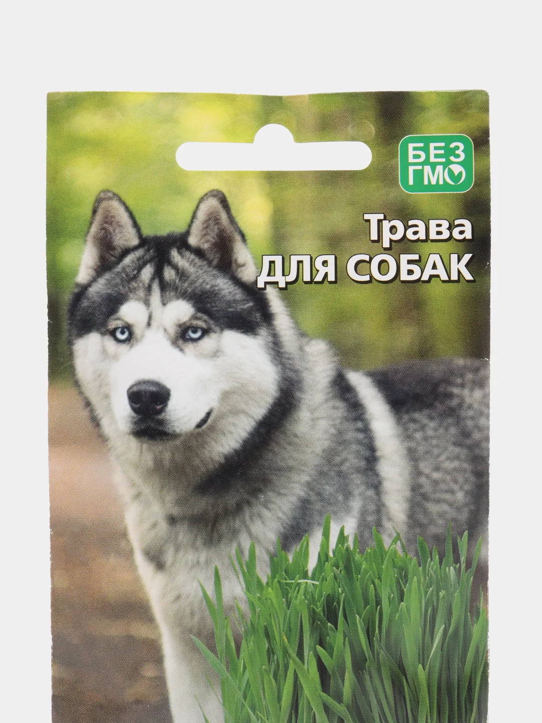 Семена Трава для собак