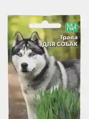 Семена Трава для собак