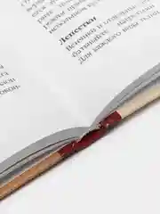 "Стильные штучки из кожи и ткани", Е.Котова