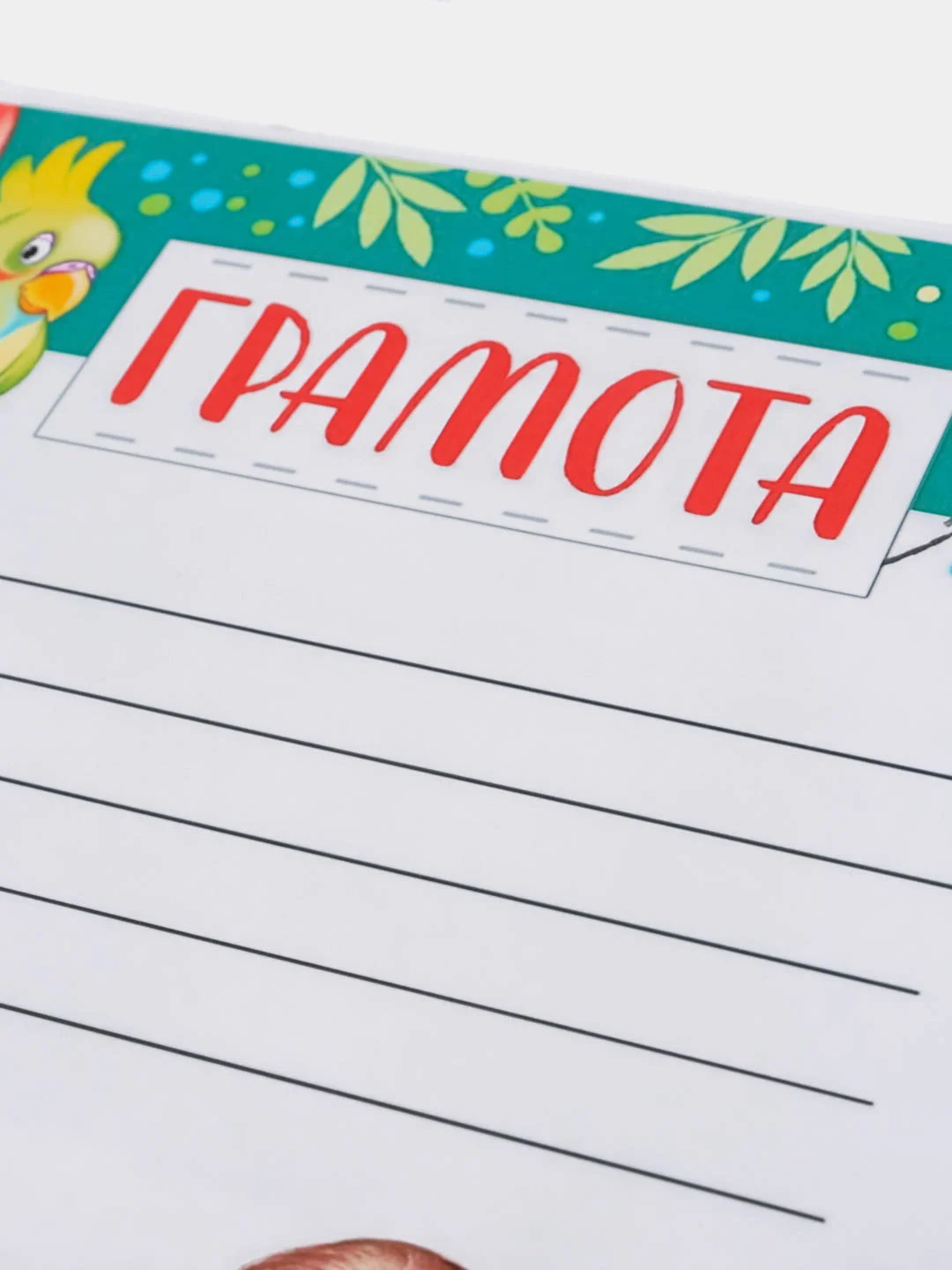 Оранжевый диплом / Грамота