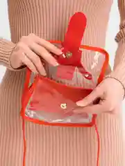 Красный сумка женская