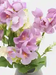 Бежевый искусственные цветы. Фрезия.Букет. Композиция. 290 мм
