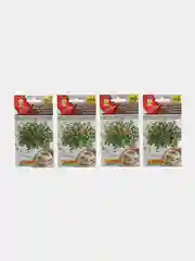 Семена "Микрозелень Редис Листовой Китайский Розовый", Экопродукт АЭЛИТА