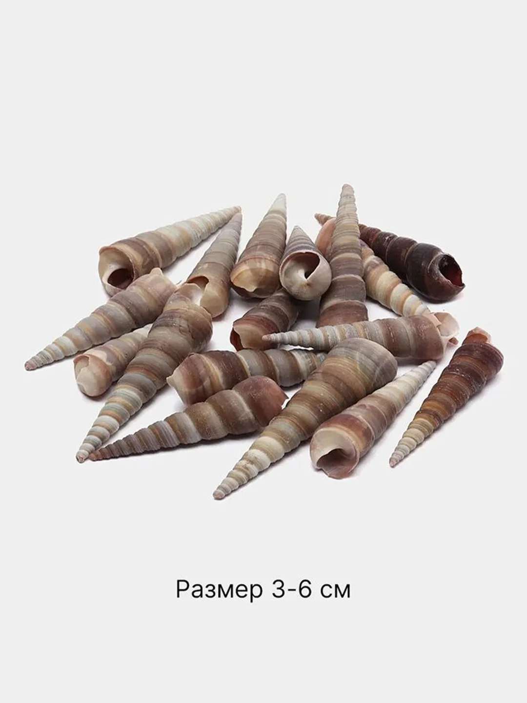Бежевый меланж ракушки натуральные морские и океанические, грунт, наполнитель, декор для аквариума