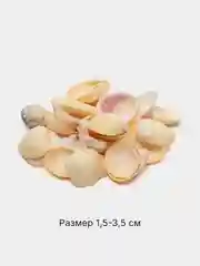 Желтый ракушки натуральные морские и океанические, грунт, наполнитель, декор для аквариума