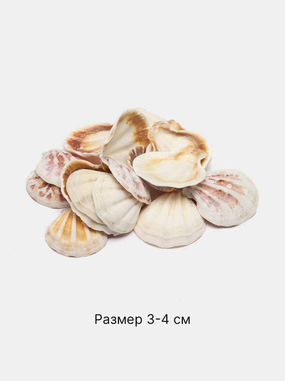 Конфетный ракушки натуральные морские и океанические, грунт, наполнитель, декор для аквариума