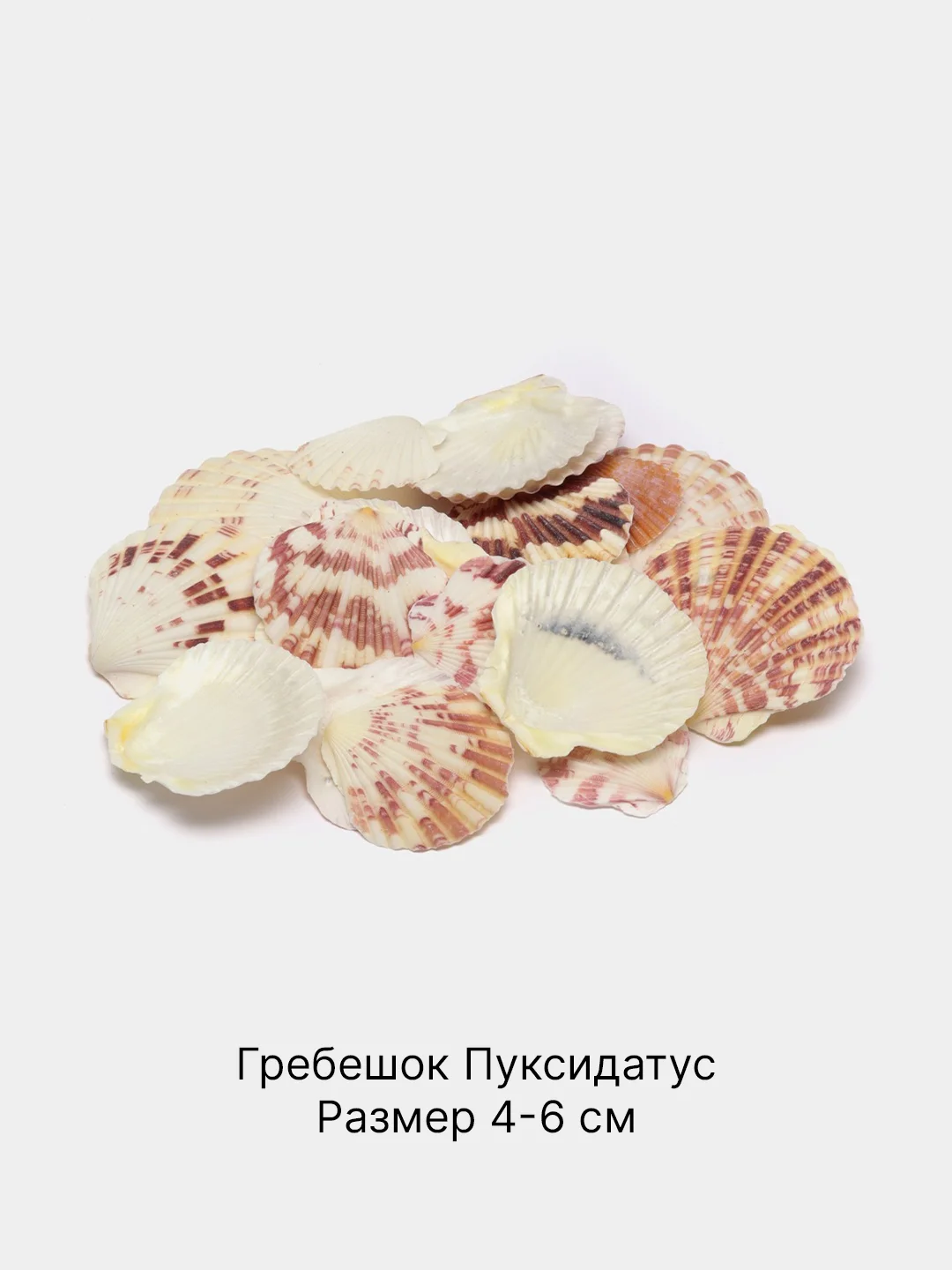 Кораллово-розовый ракушки натуральные морские и океанические, грунт, наполнитель, декор для аквариума
