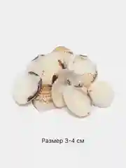 Медный ракушки натуральные морские и океанические, грунт, наполнитель, декор для аквариума