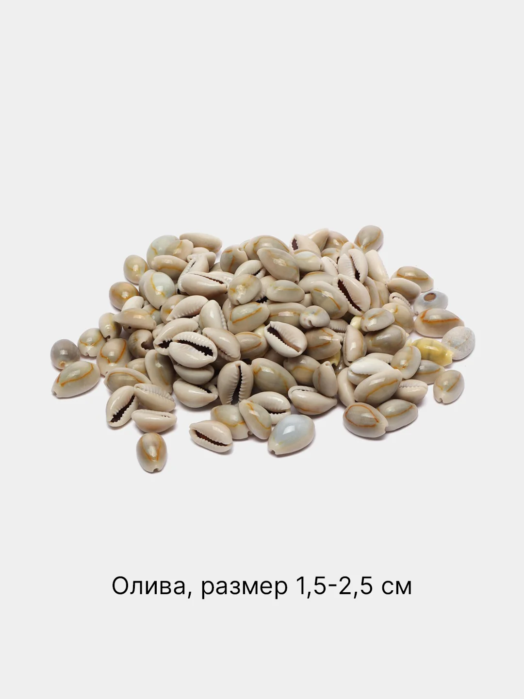 Оливковый ракушки натуральные морские и океанические, грунт, наполнитель, декор для аквариума