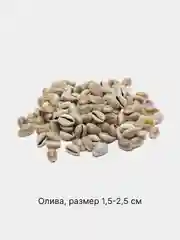 Оливковый ракушки натуральные морские и океанические, грунт, наполнитель, декор для аквариума