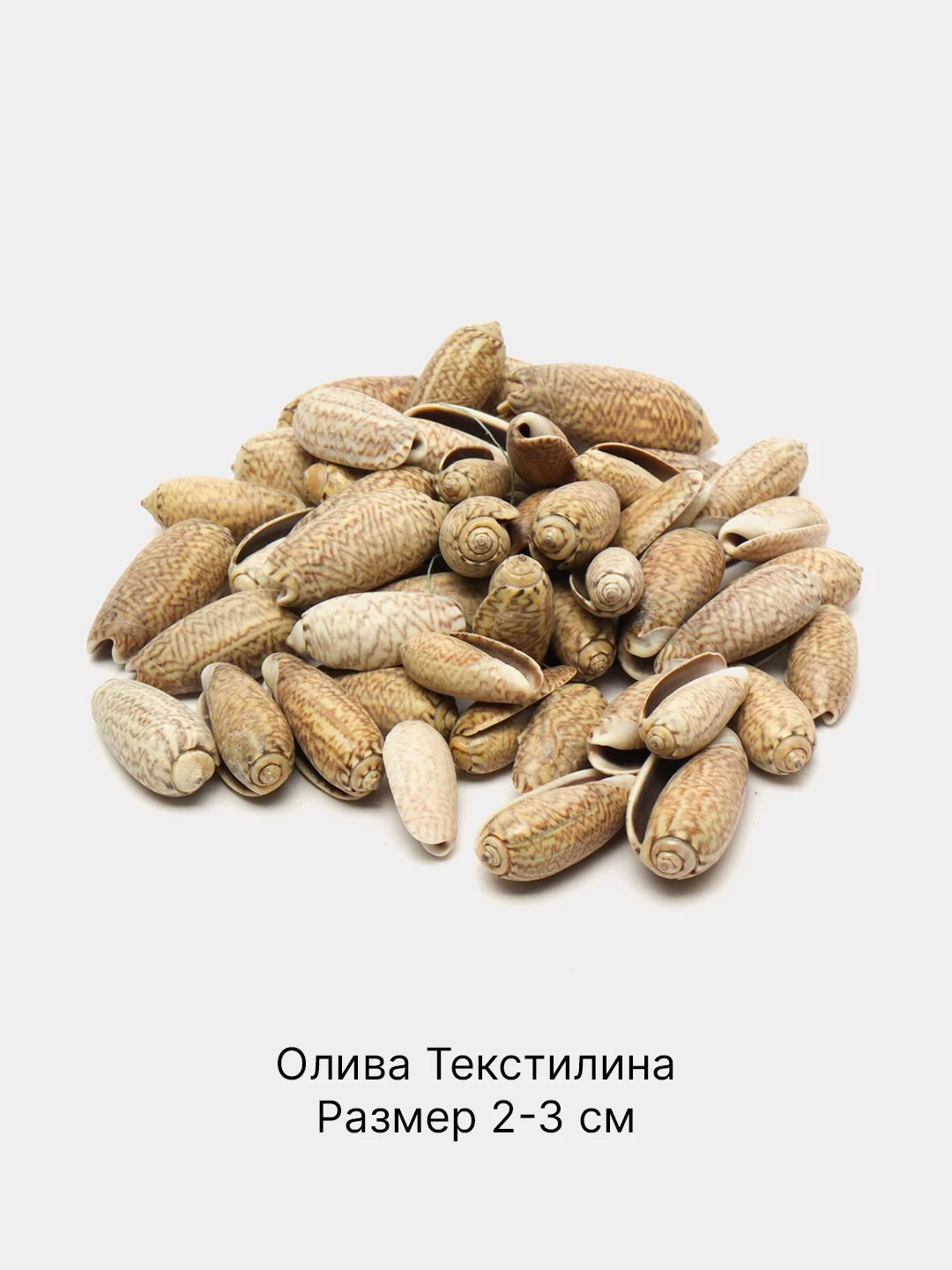 Песочный хаки ракушки натуральные морские и океанические, грунт, наполнитель, декор для аквариума