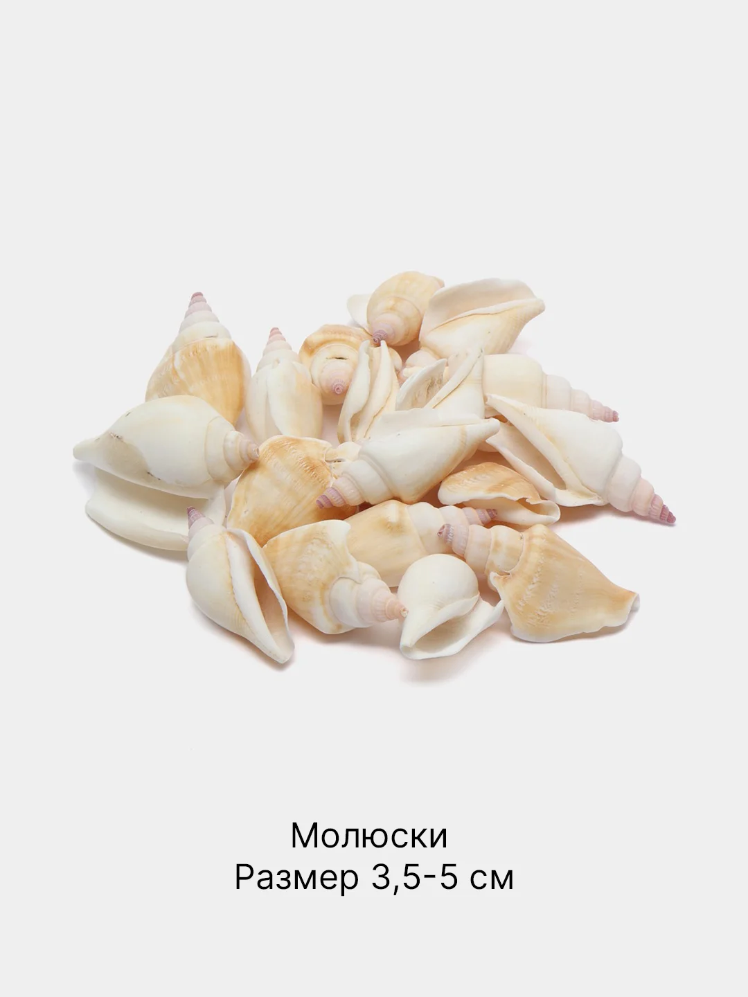 Светло-жёлтый ракушки натуральные морские и океанические, грунт, наполнитель, декор для аквариума