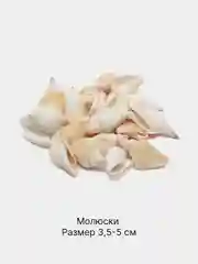 Светло-жёлтый ракушки натуральные морские и океанические, грунт, наполнитель, декор для аквариума