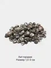 Серебряный ракушки натуральные морские и океанические, грунт, наполнитель, декор для аквариума