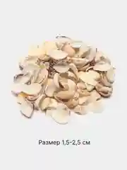 Слоновая кость ракушки натуральные морские и океанические, грунт, наполнитель, декор для аквариума