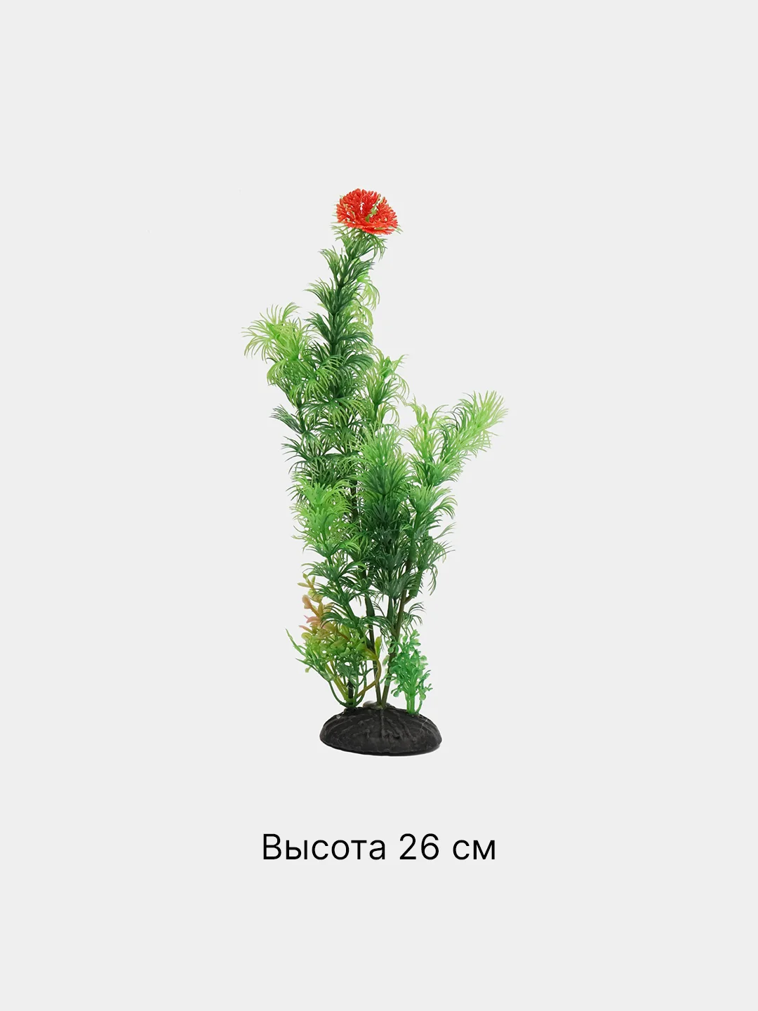 Рыжий растения декоративные для аквариума "Водоросли", 54 вида, 20-30 см