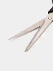 Черный ножницы